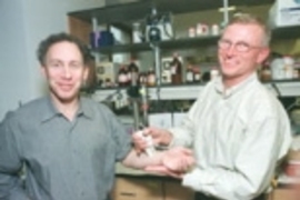 Visiting scientist Joseph Kost (right) demonstrates a device developed with Professor Robert Langer (left) and colleagues that uses ultrasound to painlessly monitor glucose levels.