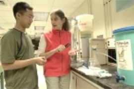 At MIT, Murcott and graduate student Jason Low of civil and environmental engineering survey microbial colonies in a dish from one of the water filtration techniques they are examining for potential use in Nepal.