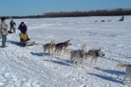 Sophomore Ross Fu (left) looks on as a sled dog musher shows her skills.