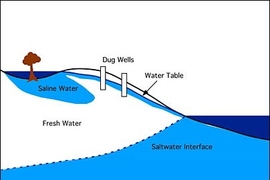 A model of the way the tsunami may have contaminated coastal wells: tsunami waves brought seawater to inland areas where it pooled for several days, before migrating back toward the coast with groundwater flow.