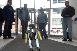 MIT's 'robotoddler'  walks down a carpet as an appreciative audience looks on.