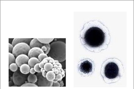 Chemotherapy-loaded nanoparticles, left, form the core of the nanocell, right, as seen under the electron microscope. The outer lighter layer of the nanocell stores the drug that cuts blood supply after the nanocell has entered the tumor.