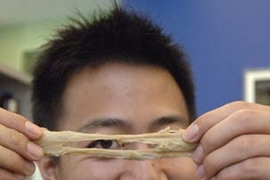 MIT graduate student Trevor Shen Kuan Ng demonstrates the stretchy properties of wheat flour dough.