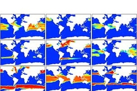 Image above shows the emergent ocean ecosystem community structure. The phytoplankton community is organized according to relative fitness in the physical, chemical, and predatory environment.