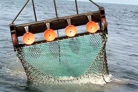 Testing the scallop dredge in the Irish Sea, off the Isle of Man.