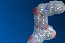 Structure of a piece of a biodegradable polymer used for gene delivery.