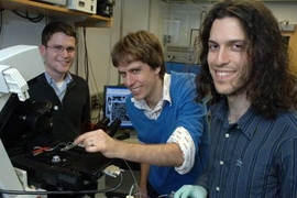 From left, graduate student Jerome Mettetal, Professor Alexander van Oudenaarden and Harvard graduate student Dale Muzzey report insights on how cells respond to external stimuli.