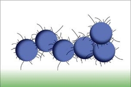 Bottom, bacteria stick to the stiffer surface. Top, researchers at MIT have manipulated the mechanical stiffness of polymer films, creating a surface that bacteria are less prone to stick to.