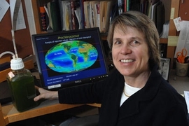 Now, 20 years later, Chisholm holds a container filled with Prochlorococcus microbes. Its proliferation in the world is tracked on the screen behind her.