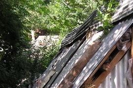 A livestock shelter in Kashmir. The community had used straw (a locally sourced material) as an infill between two corrugated galvanised iron sheets to make the shelter more comfortable for the livestock. <a onclick="MM_openBrWindow('itw-insul-1-enlarged.html','','width=509, height=583')">
<span onmouseover="this.className='cursorChange';">
<strong>Open image gallery</strong>
</span>
</a>
<no...