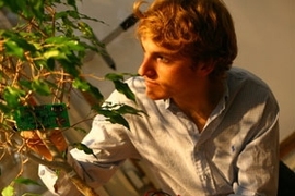 MIT senior Christopher Love and colleagues are working to find out whether energy from trees can be used to prevent forest fires. Love works here with a test tree behind the copper-plated insulated door of MIT's Faraday cage.