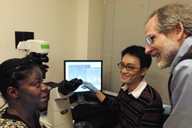 Post-doc in biological engineering Seok Chung points to view of cell-growth as Roger Kamm, professor of biological and mechanical engineering, right, and chemical engineering graduate student Vernella Vickerman look on.