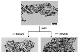 The top image shows a mixture of gold nanoparticles. The longer particles are called nanobones, and the smaller are nanocapsules. Bottom left: After the nanoparticles are hit with 800 nanometer wavelength infrared light, the nanocapsules melt and release their payload.  Nanobones remain intact. Right: After the nanoparticles are hit with 1100 nanometer wavelength infrared light, the nanobones melt...