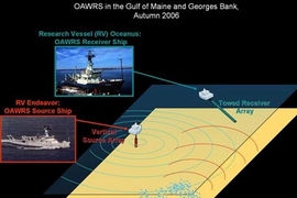 Schematic showing general setup of the imaging system used to study fish shoals.