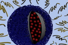 The outer layer of this nanoparticle (in yellow) falls off in an acidic environment.