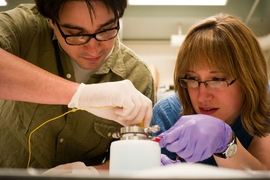 two people work in a lab