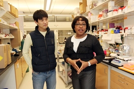 Paula Hammond, the David H. Koch Professor in Engineering, right, with postdoc Jinkee Hong.