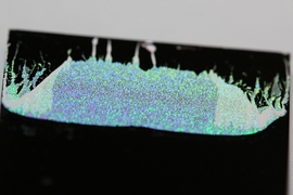 Photograph of a two-dimensional array of microspheres adhered to a substrate