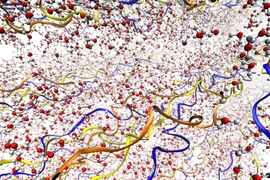 Illustrations depict the collagen fibrils, with their triple-helix structure, surrounded by water molecules. The three different chains of the triple helix are depicted in different colors. Water molecules are shown in red and gray.