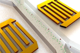 As a mix of cancer cells and white blood cells flows through the microfluidic channel, sound waves from the transducers located on both sides of the channel guide them into separate channels, allowing the rare cancer cells to be isolated.