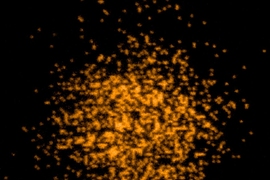 A Quantum gas microscope for fermionic atoms. The atoms, potassium-40, are cooled during imaging by laser light, allowing thousands of photons to be collected by the microscope.