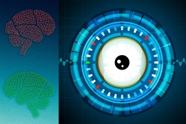 Researchers have developed a computational model of visual representation intended to reflect the way the brain works. 