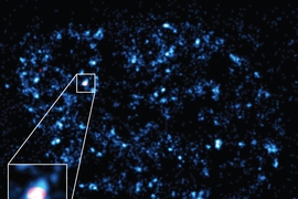 Dual-color super-resolution imaging reveals Pol II clusters (cyan blue) in the nucleus of a living cell. At this instant, a cluster of Pol II is captured on the active beta-actin gene locus (red).