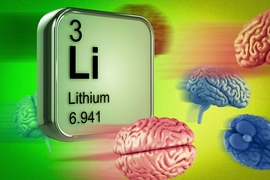 “How lithium acts on the brain has been this great mystery of psychopharmacology,” says Joshua Meisel, an MIT postdoc and lead author of a new study. “There are hypotheses, but nothing’s been proven.”
