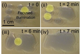 By creating surfaces whose interactions with water — a property known as wettability — can be activated by light, the researchers found they could directly separate oil from water. The process causes individual droplets of water to coalesce and spread across the surface.