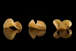 These pasta shapes were caused by immersing 2D flat film into water.
