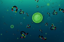 Researchers have discovered that Prochlorococcus varieties can each produce more than two dozen different peptides (molecules that are similar to proteins, but smaller).