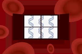 Researchers have developed a new method for making “blood biopsies” for cancer more effective by using whole exome sequencing to monitor tumor DNA from blood samples.
