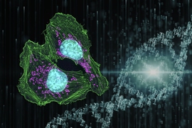 MIT biologists have identified a drug that blocks a DNA repair pathway used by cancer cells, making them more susceptible to chemotherapy drugs that damage DNA.