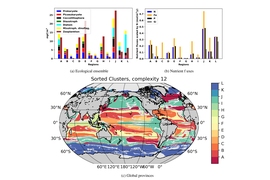 The researchers assigned each available location in the ocean model to one of the 100 provinces, and assigned a color to each province. They then generated a map of the global ocean, colorized by province type, as seen in these figures. Interpretations in terms of biomass in each functional type is seen in the top left, and nutrient fluxes are shown in the top right.