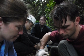 Until now, measuring the progression of this draining and drying process has required arduous treks through dense forests and wet land, and help from local people who know their way through the remote trackless swampland. Here, researchers study a core sample from the deep layer of peat.