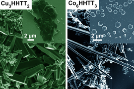 two scanning electron microscopy (SEM) micrographs