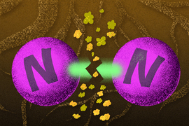 gaseous dinitrogen binds to iron-sulfur 