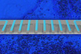 graphic of cell mass measuring device