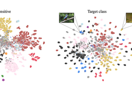 PARADE embeddings graph