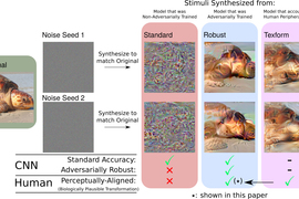 images representing computer vision models