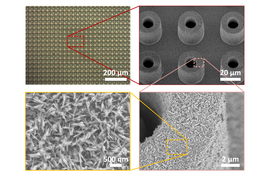 images of textures across different scales of the surface