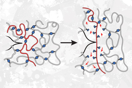 Two sets of squiggly lines in blob formation with blue beads interwoven are shown, both with a distinct red line near center pointed by a black bracket. The blob on left resembles a horizontal rectangle with a black arrow pointing to the right blob, which resembles a vertical rectangle and has red arrows indicating directional flow.