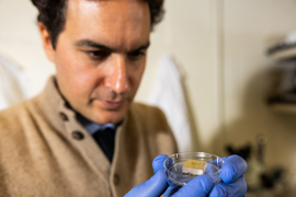 Gloved hands hold a petri dish with a unique cube with a computer chip inside. Marelli Is blurry in background.