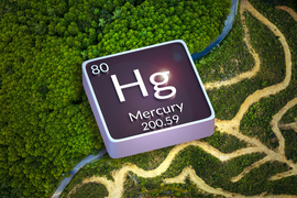 This image background shows an aerial photo of a forest, with the right side deforested with roads running through it. Overlain is the square for mercury from the periodic table, that says “80, Hg, Mercury, 200.59”