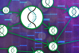 A neural network has icons of DNA strands in the circular nodes. Arrows connect the nodes.