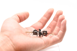 Photo of the small robotic insect resting in someone’s hand.