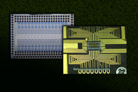 Two views of the silicon chip